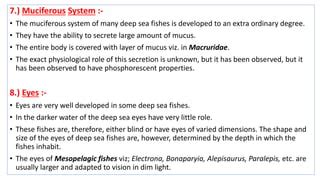 mufreecs|MUCIFEROUS definition and meaning .